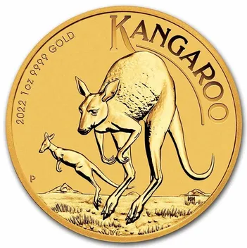 AUSTRALIAN KANGAROO